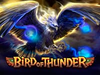 Bird of Thunder